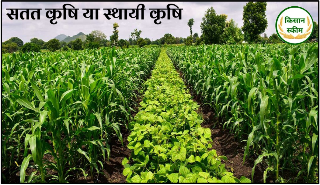 सतत कृषि या स्थाई कृषि